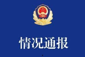 国产吃瓜婊 第4页